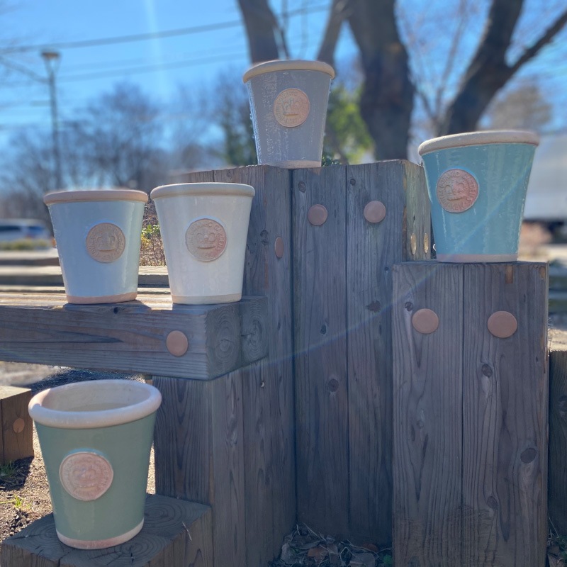 Kew Pots �����ܥ꡼ S������ ����ȭ ���塼�ݥå�