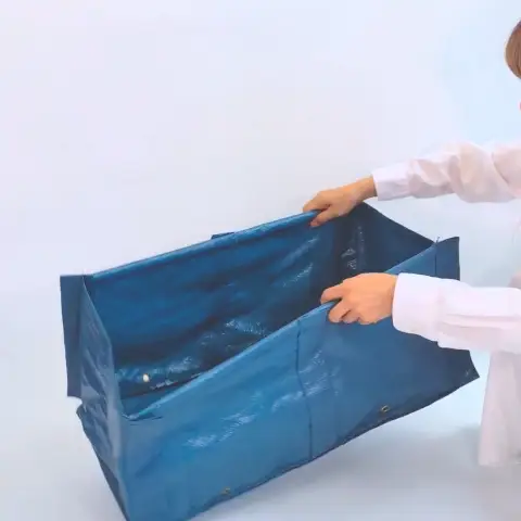 �������ץ�󥿡���������դ����Ĥ�����ʪ��