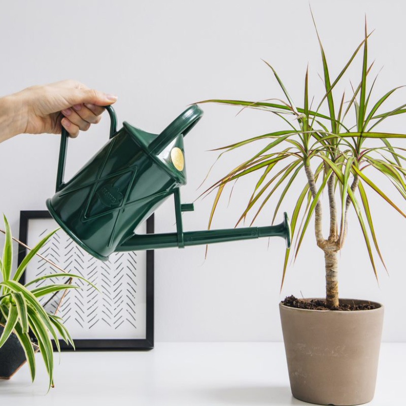 HAWS���ץ饹���å����礦����1L������ѥ��ȡ����꡼��