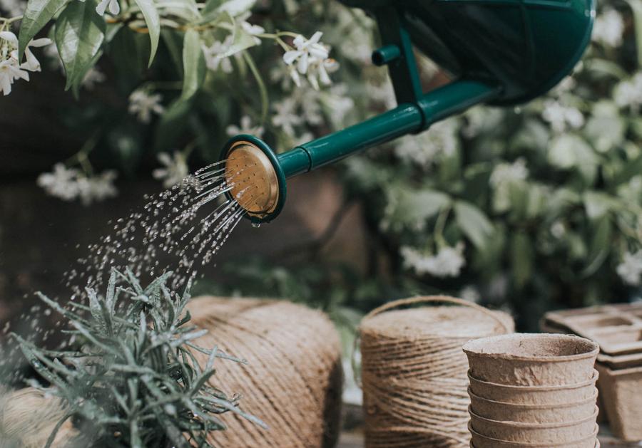 HAWS���ץ饹���å����礦����1L������ѥ��ȡ����꡼��