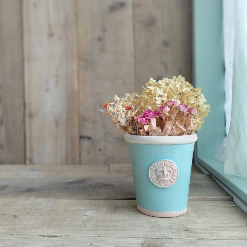 Kew Pots ƥեˡ֥롼 S ȭ 塼ݥå