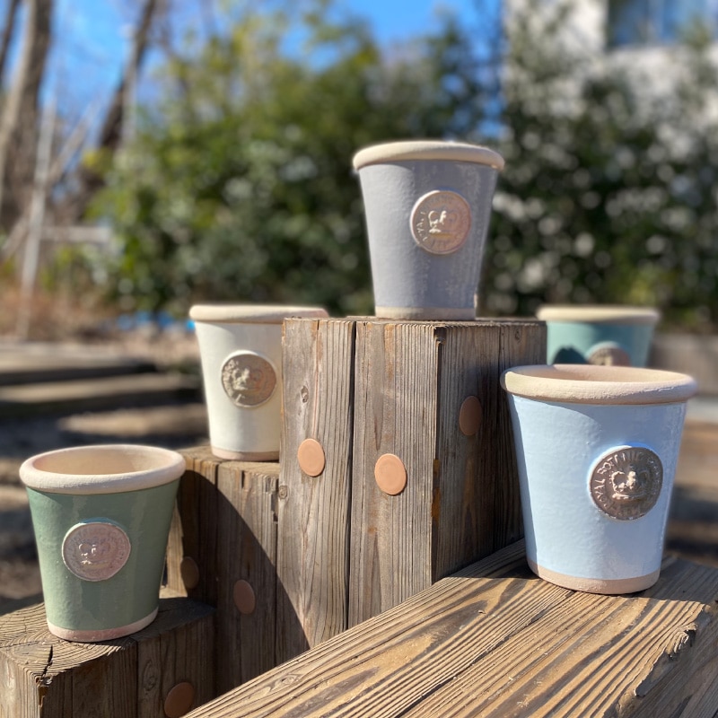 Kew Pots ƥեˡ֥롼 S ȭ 塼ݥå