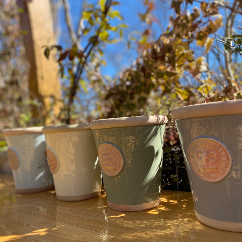 Kew Pots ƥեˡ֥롼 S ȭ 塼ݥå