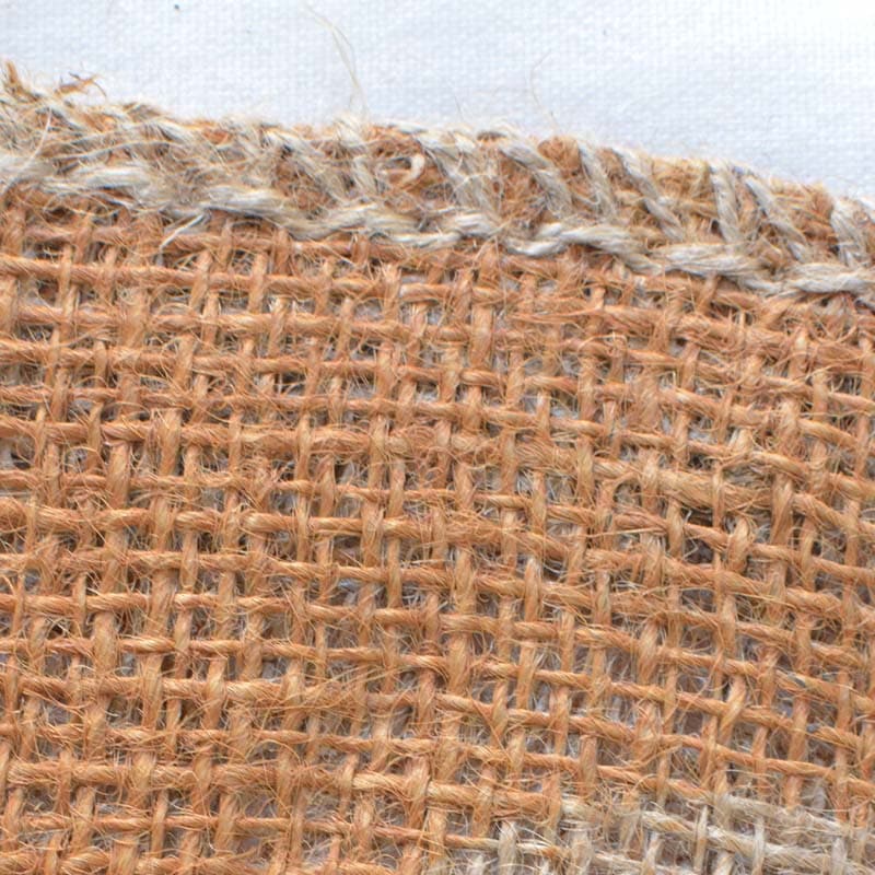 ��ʪ�ݸ�С����ʥ����롡S���������㡡���褱