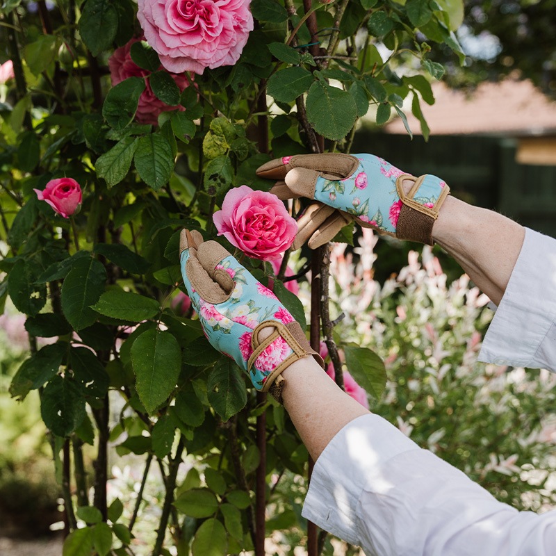 K&S���ץ�ߥ��६���ǥ󥰥����֡����ޡ�M���������ԥ��ˡ�