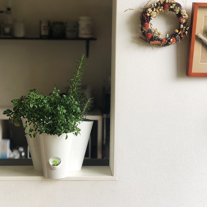 50OFFڥȥåȡۼưϡ֥ݥåȡ極3ݥåȡۥ磻