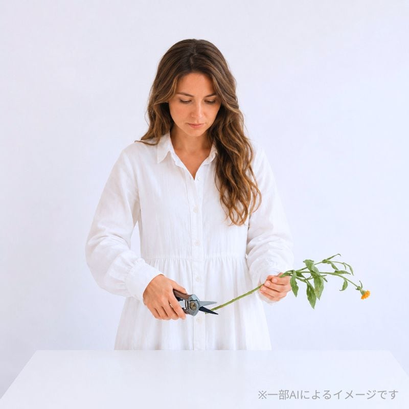 K&S �����ǥ˥�����Ф��ߡ����̥�ǥ롡���˥åס�6mm