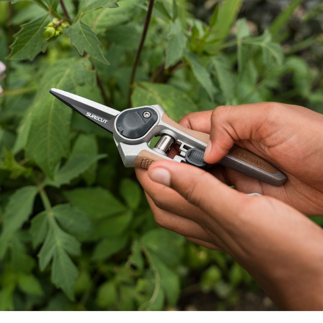 K&S ǥ˥Фߡ̥ǥ롡˥åס6mm