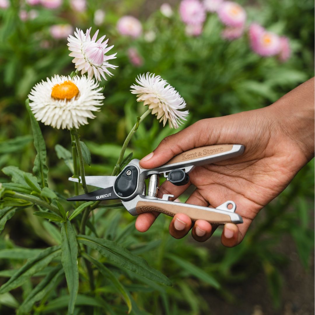 K&S ǥ˥Фߡ̥ǥ롡˥åס6mm