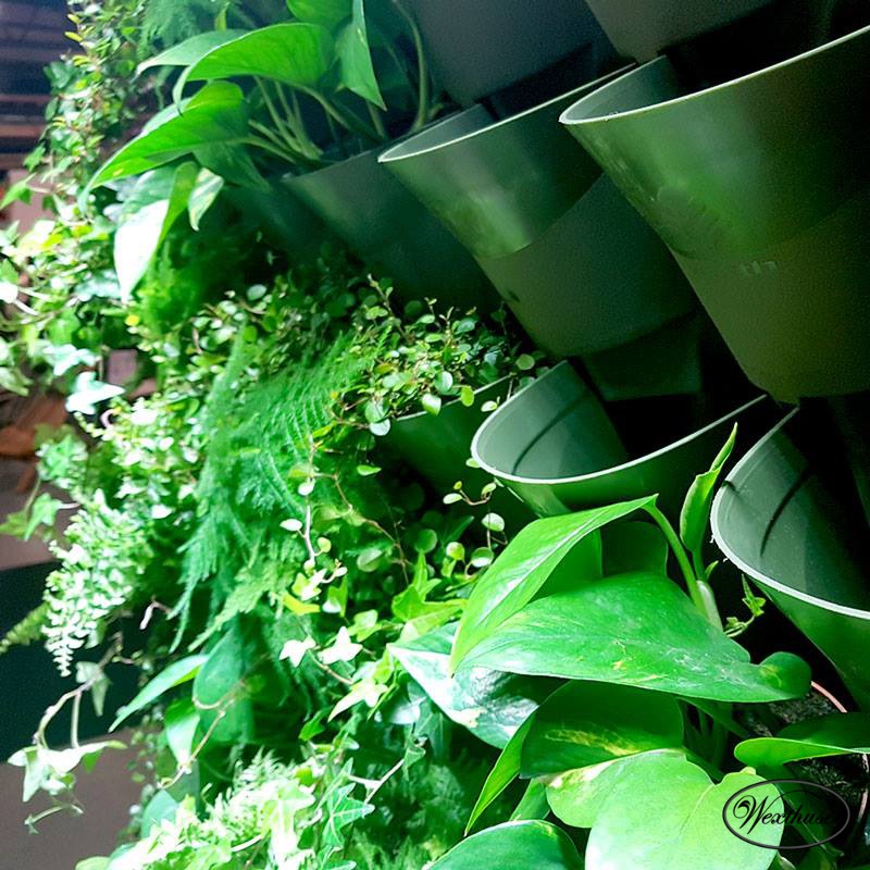 50OFFڥȥåȡвץ󥿡롡꡼