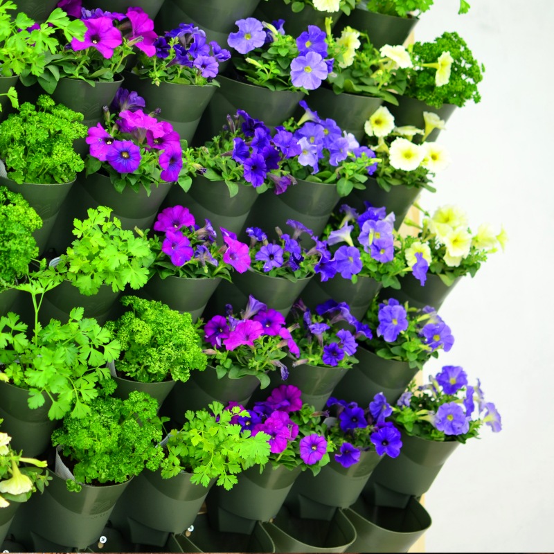 50OFFڥȥåȡвץ󥿡롡꡼