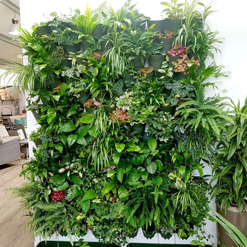 50OFFڥȥåȡвץ󥿡롡꡼