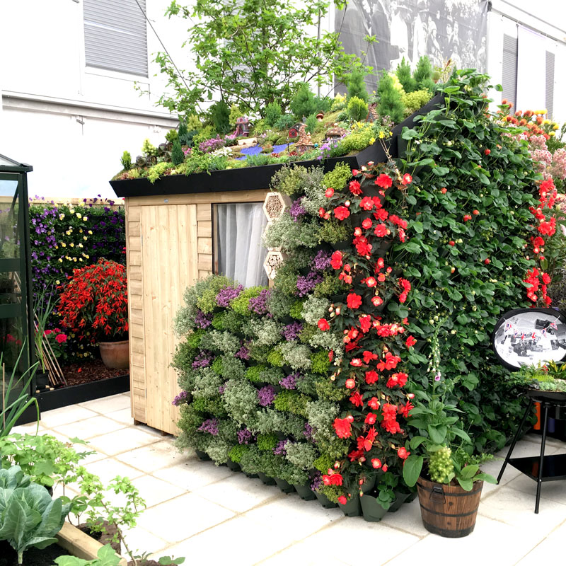 50OFFڥȥåȡвץ󥿡롡꡼