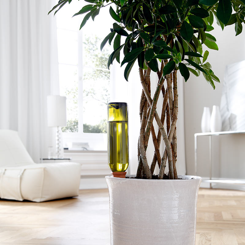 ϥɥ磻&ڥåȥܥȥ륢ץ1ĥåȡưʪ