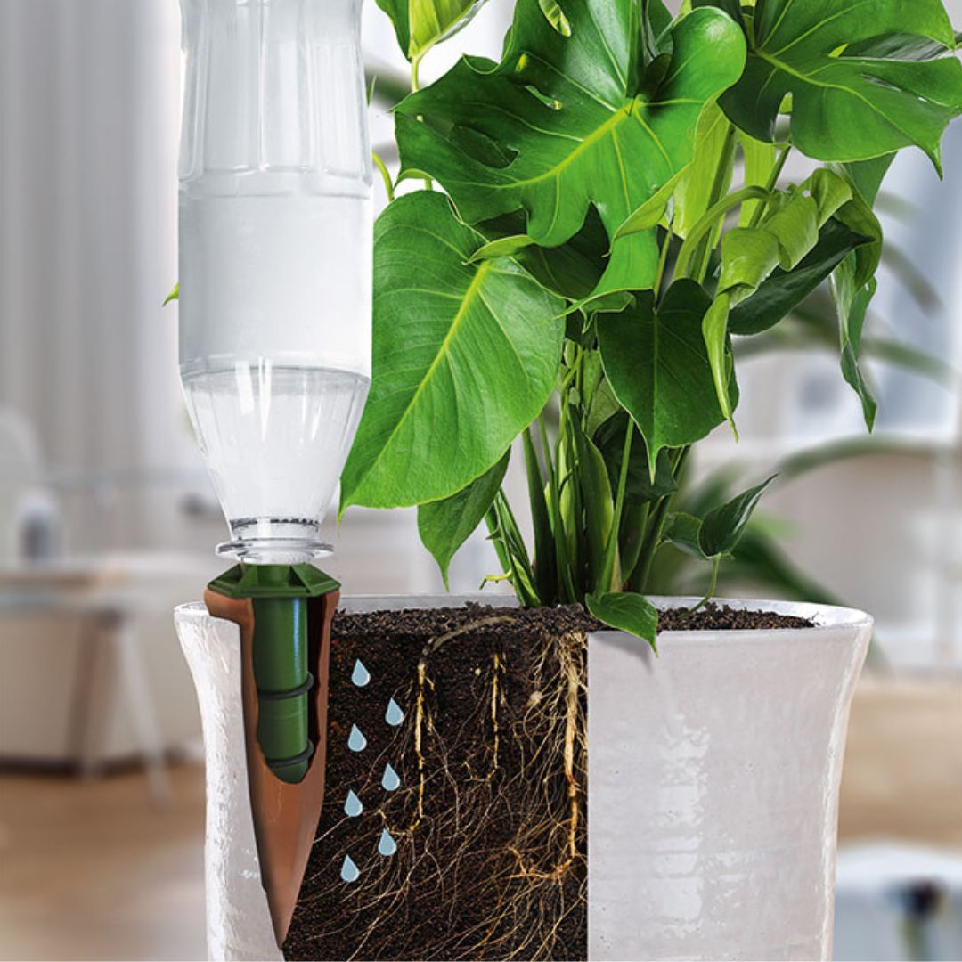 ϥɥ磻&ڥåȥܥȥ륢ץ1ĥåȡưʪ