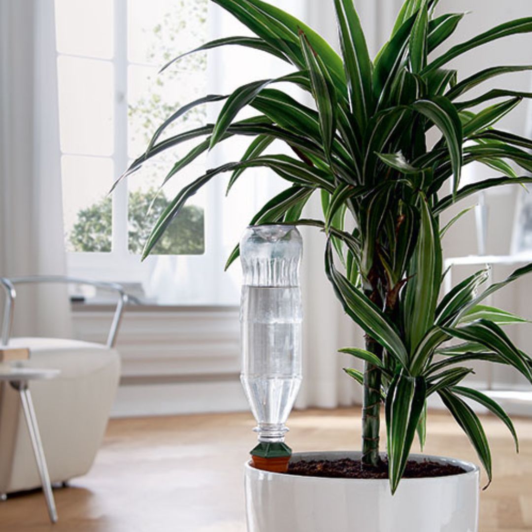 ϥɥ磻&ڥåȥܥȥ륢ץ1ĥåȡưʪ