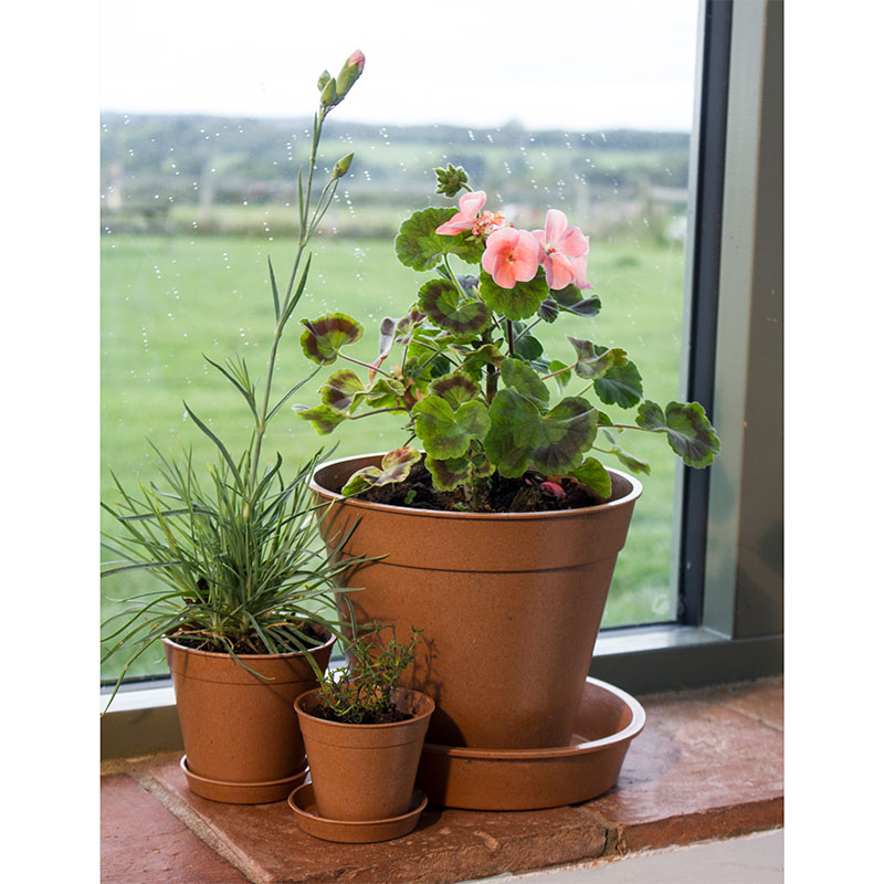 ڿʡȭ10cm5ĥåȡХ֡ݥåȡƥ饳å