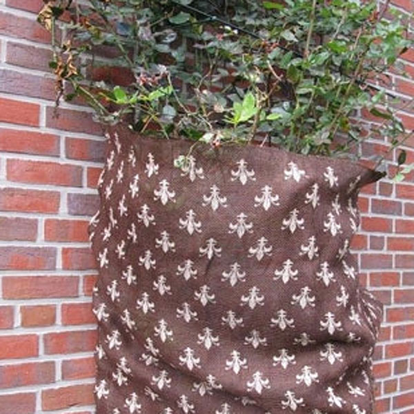 ʪݸɴ塼ϡ5m1.5m㡡֥饦١