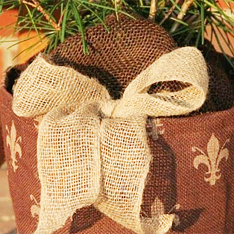 ʪݸɴ塼ϡ5m1.5m㡡֥饦١