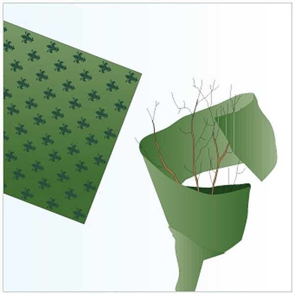 ʪݸɴ塼ϡ5m1.5m㡡֥饦١