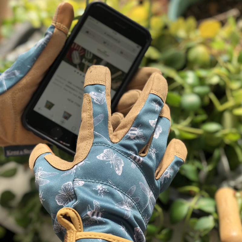 K&Sץߥ६ǥ󥰥֡ޡSȤܡ礦