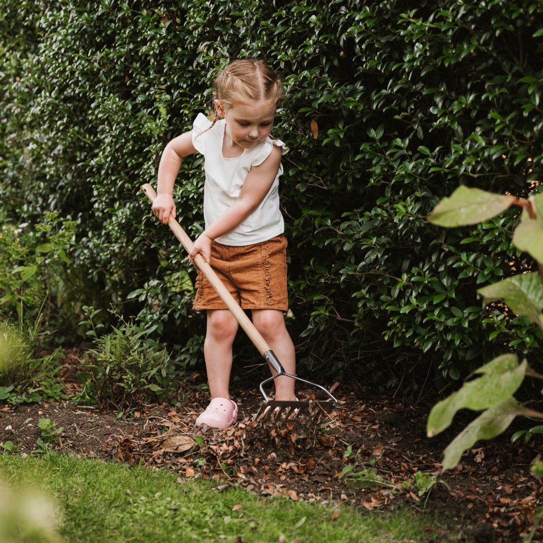 K&S���Ҷ��ѥ����ǥ�졼�����ڤʤ餷