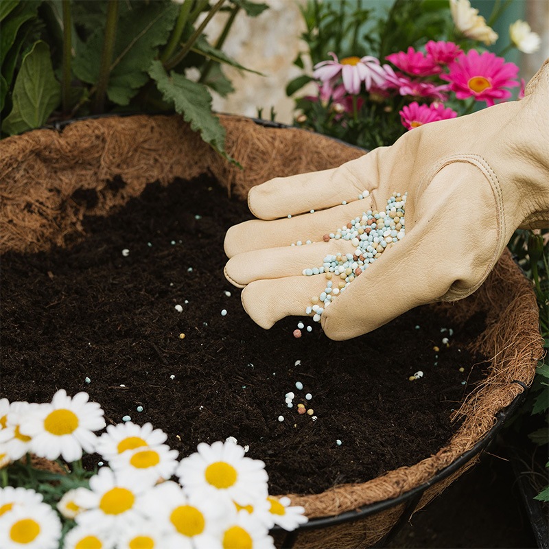 K&S���ѿ�쥶�������ǥ󥰥����֡����M�����餫�׼���