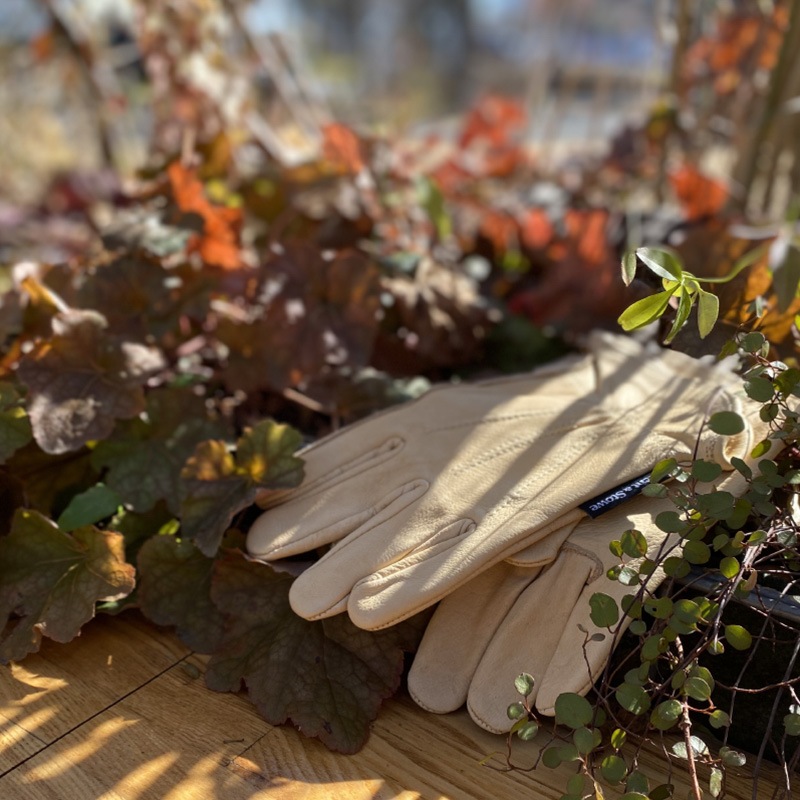 K&S餫ѿ쥶ǥ󥰥֡׼ޡM