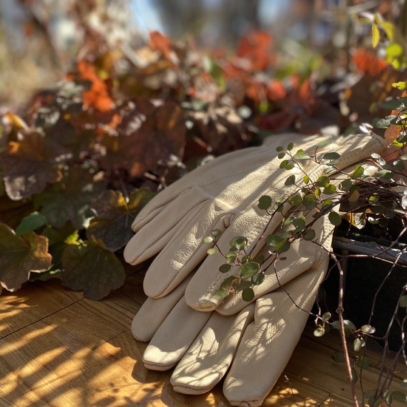 K&S餫ѿ쥶ǥ󥰥֡׼ޡǥM