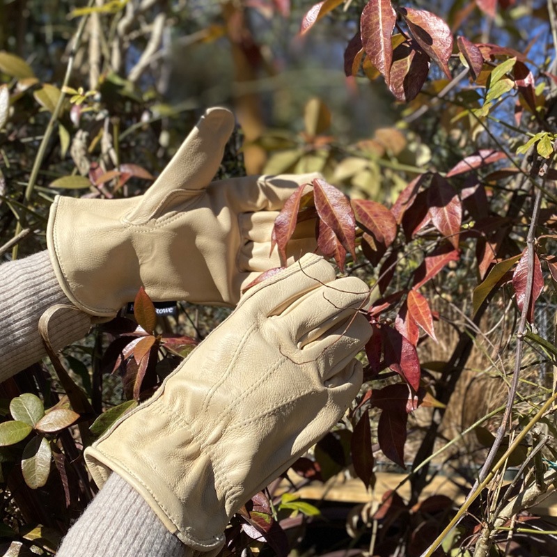 K&S餫ѿ쥶ǥ󥰥֡׼ޡǥM