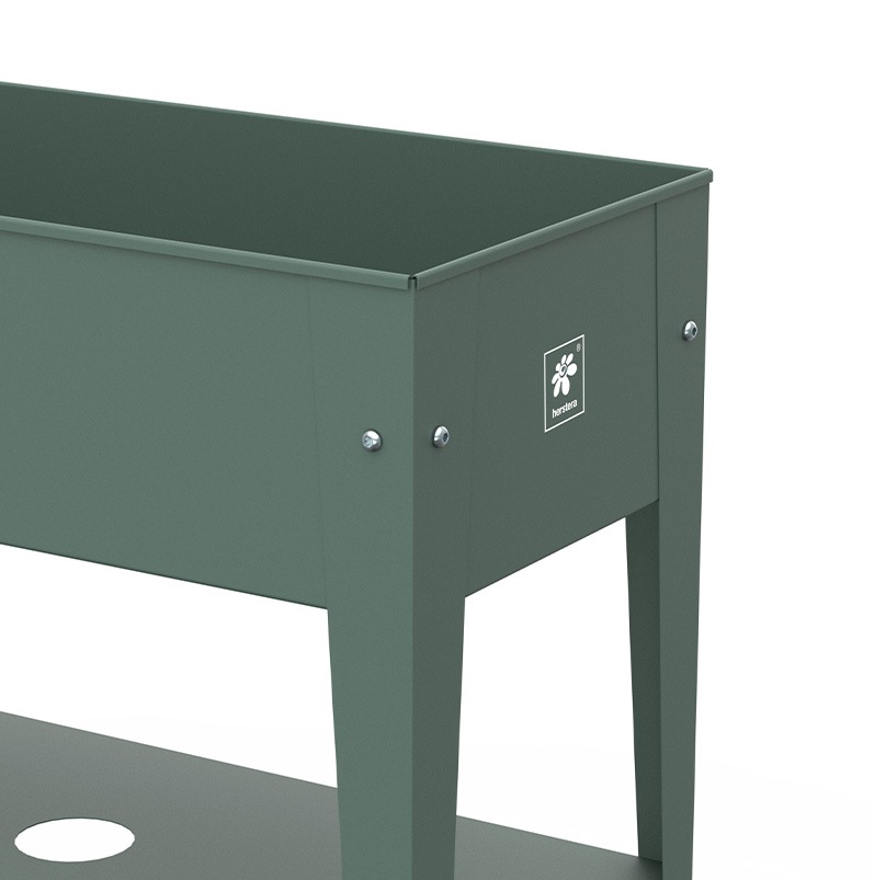 ưݥץ󥿡ȥ꡼若󡡥ۥ॰꡼