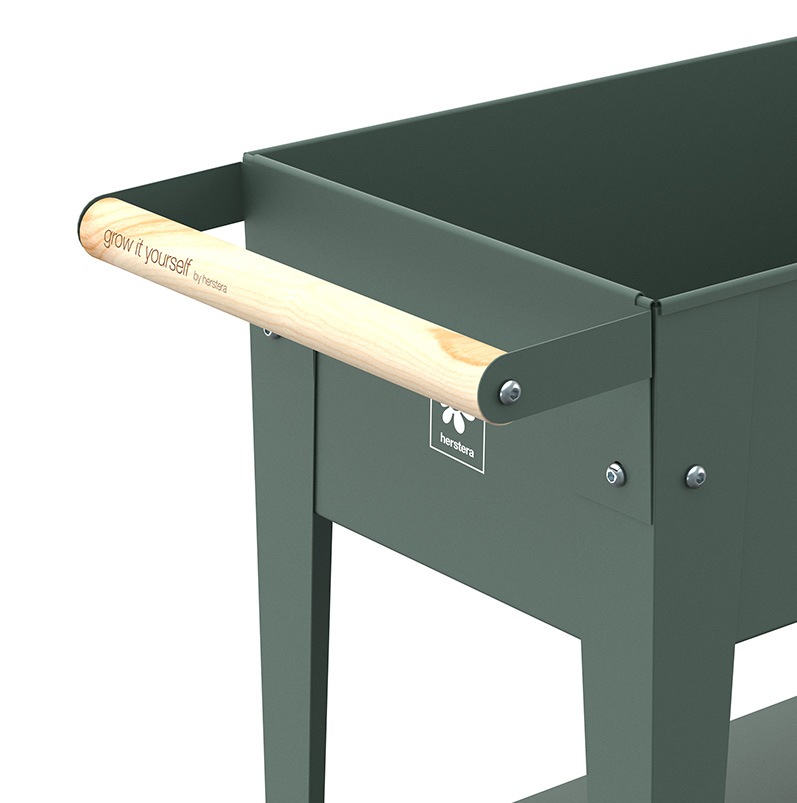 ưݥץ󥿡ȥ꡼若󡡥ۥ॰꡼