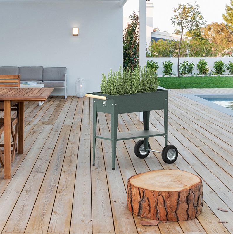 ưݥץ󥿡ȥ꡼若󡡥ۥ॰꡼