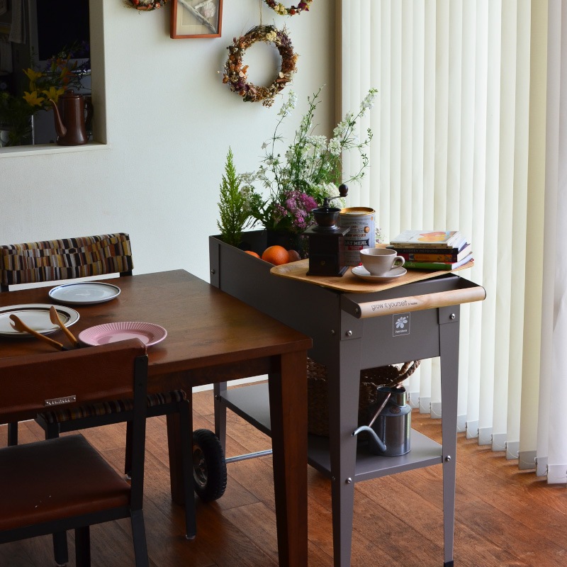 ưݥץ󥿡ȥ꡼若󡡥ۥ॰꡼