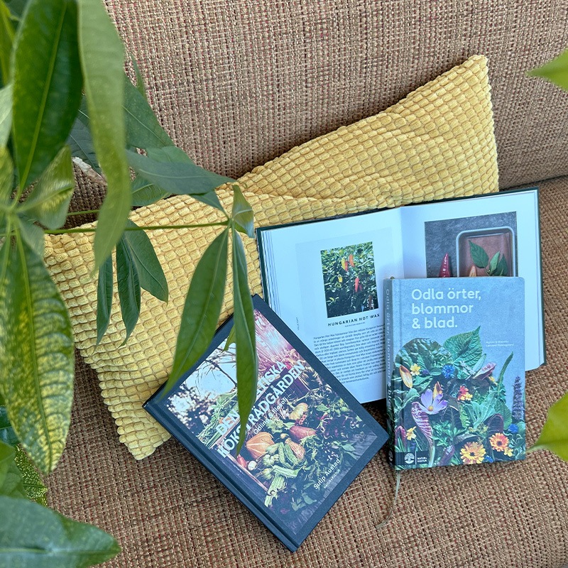 �̲����������ǥ���ν���ڤ�ϡ��֤ˤĤ��Ƥ��ܡ��쥷��