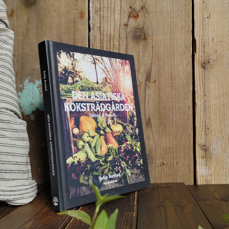 �̲����������ǥ���ν���ڤ�ϡ��֤ˤĤ��Ƥ��ܡ��쥷��