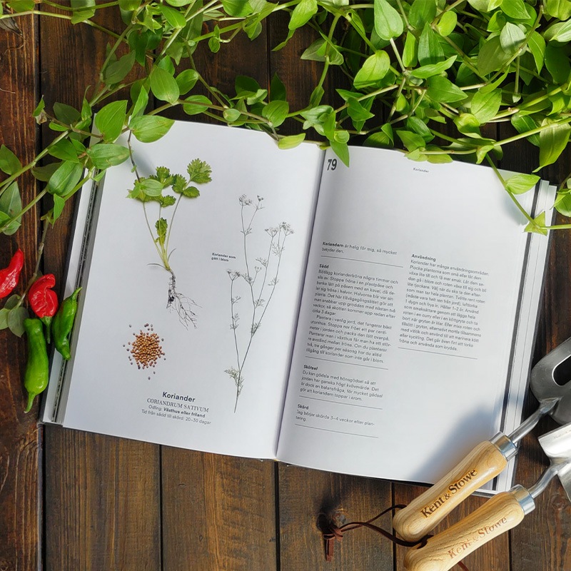 �̲����������ǥ���ν���ڤ�ϡ��֤ˤĤ��Ƥ��ܡ��쥷��