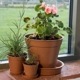 �ڿ����ʡ�������������15cm��1�硡�Х�֡������������ƥ饳�å�