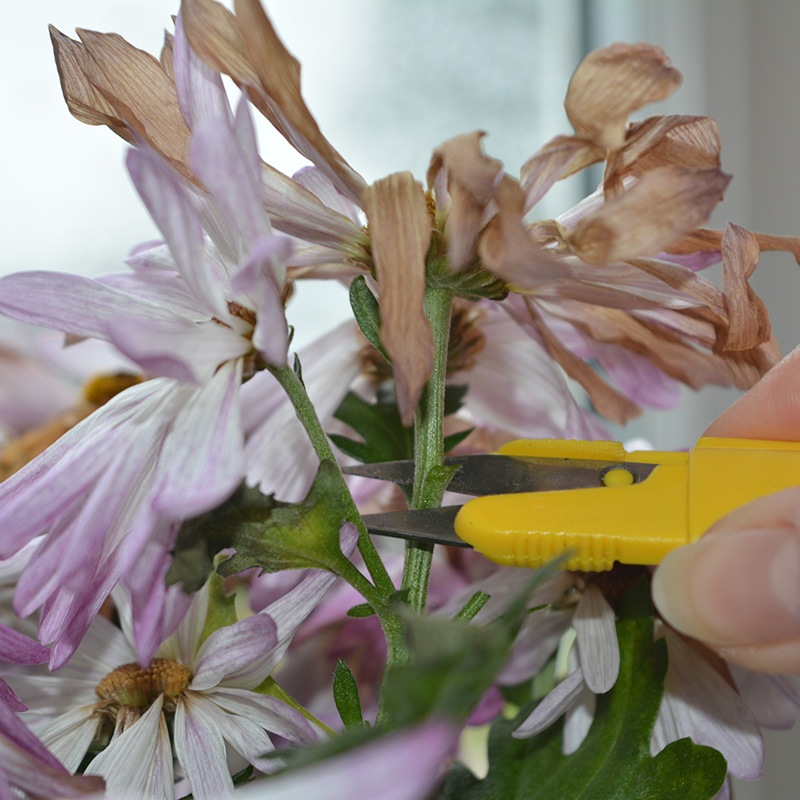 ����å��դ����ӥϥ��ߡ�����ѥ��ȡ���������