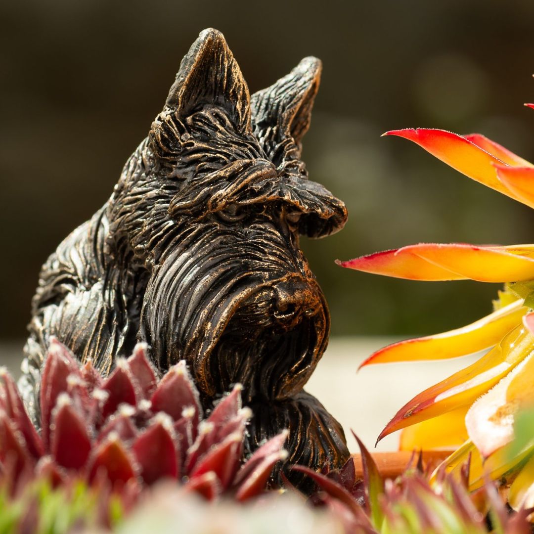 ȭ���֥����������ƥ��å���ƥꥢ�����������ǥ󥢥������꡼