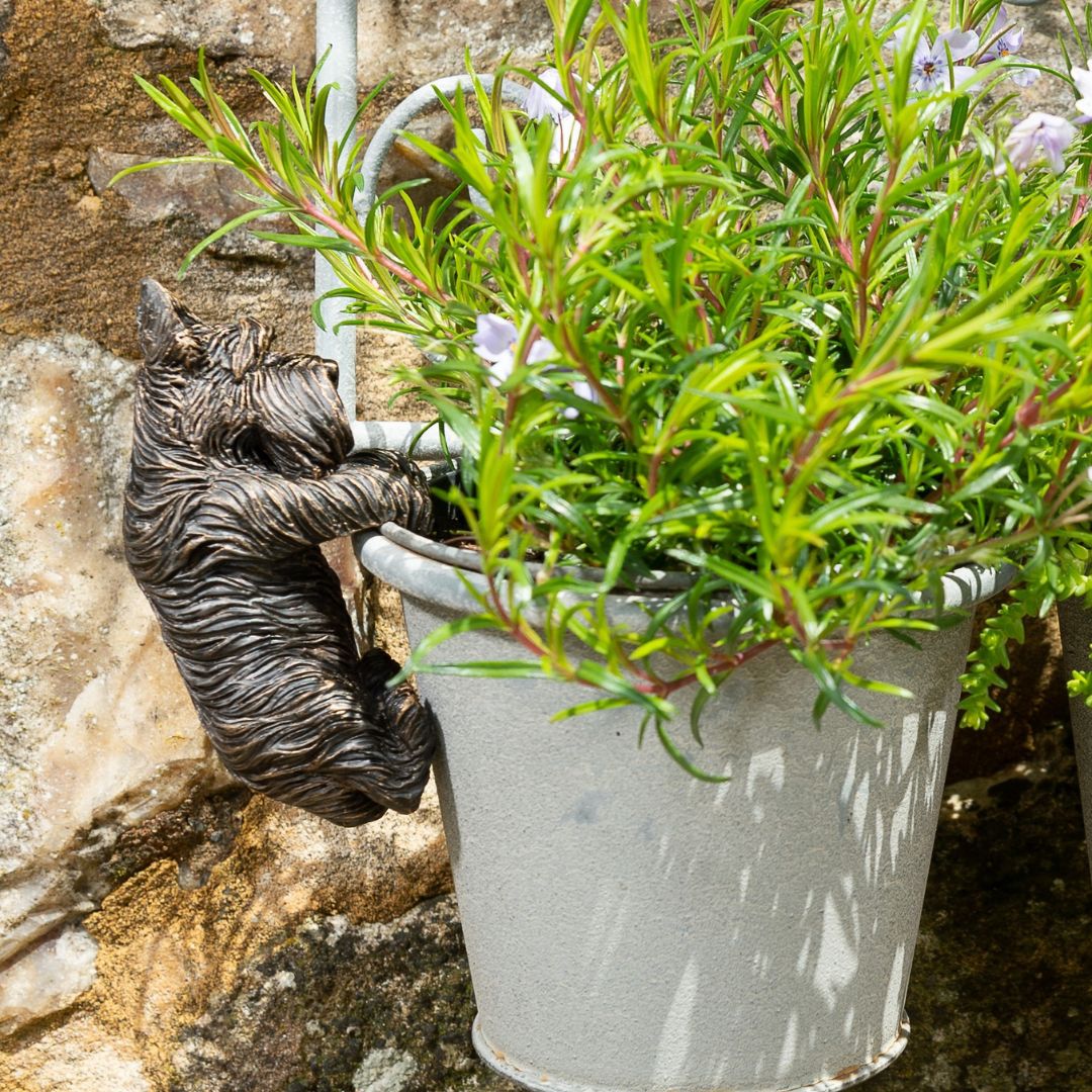 ȭ���֥����������ƥ��å���ƥꥢ�����������ǥ󥢥������꡼