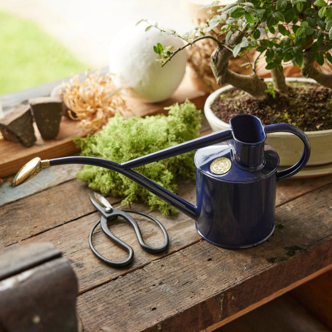 HAWS°礦1L֥ƥåͥӡ