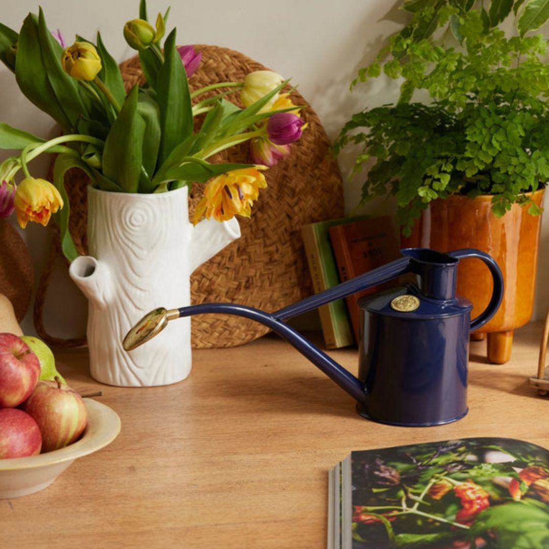 HAWS°礦1L֥ƥåͥӡ