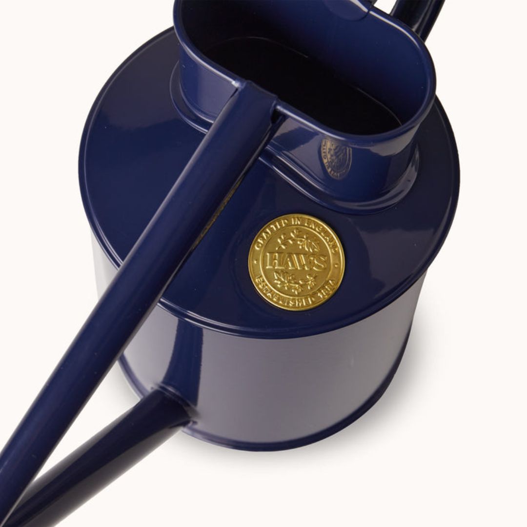 HAWS°礦1L֥ƥåͥӡ