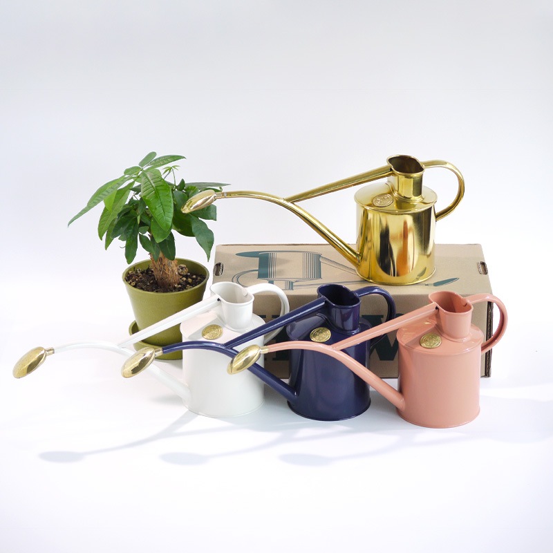 HAWS°礦1L֥ƥåͥӡ