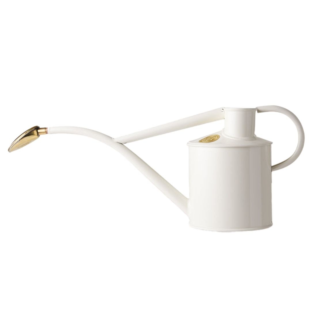 HAWS°礦1Lۥ磻ȥʥ