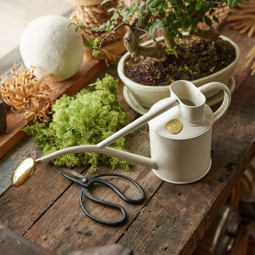 HAWS°礦1Lۥ磻ȥʥ