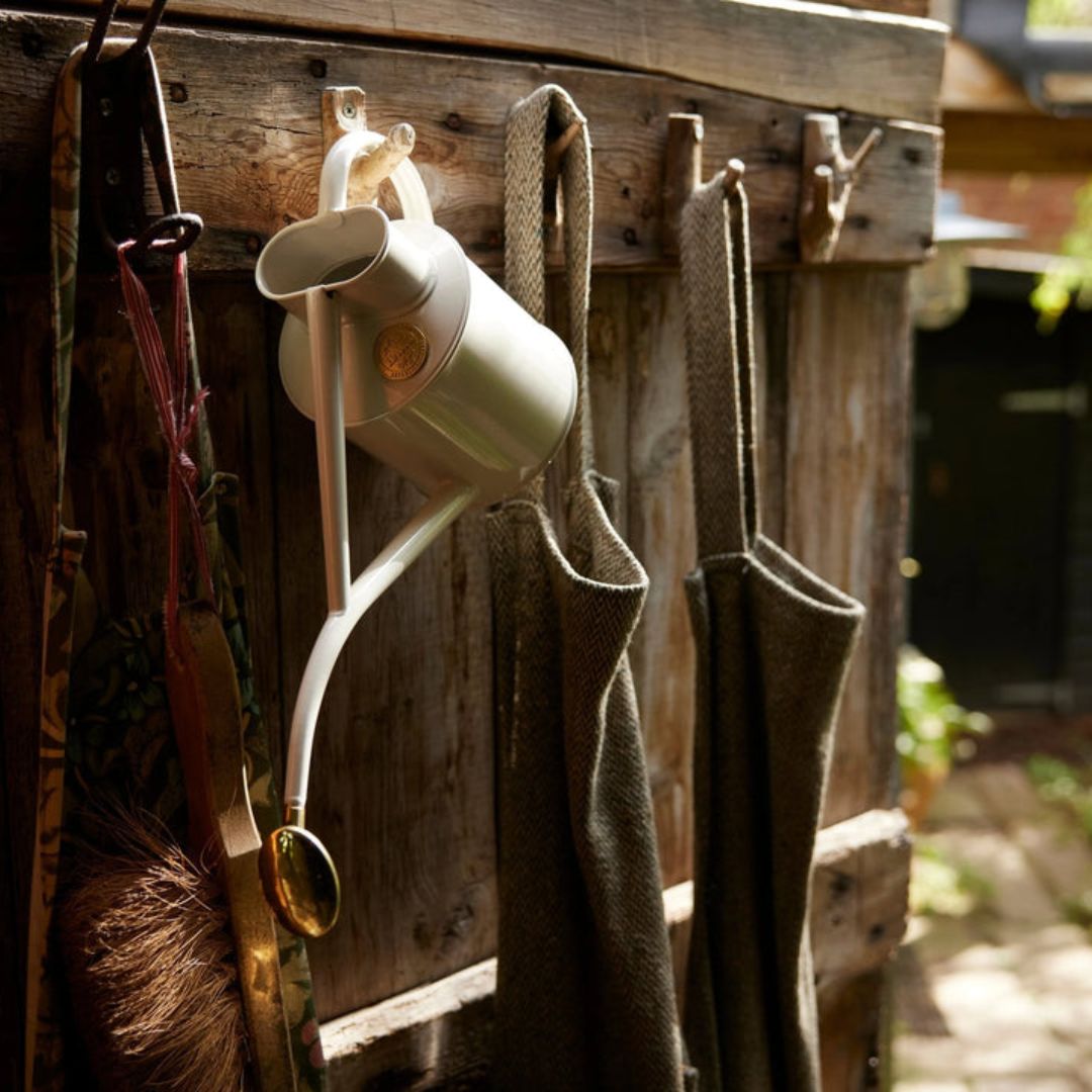 HAWS°礦1Lۥ磻ȥʥ