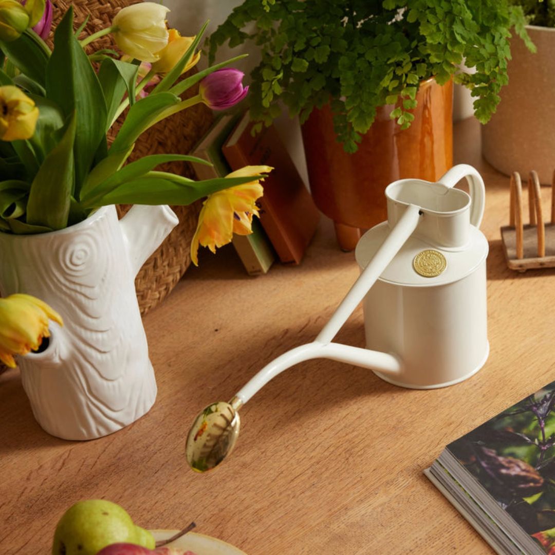 HAWS°礦1Lۥ磻ȥʥ