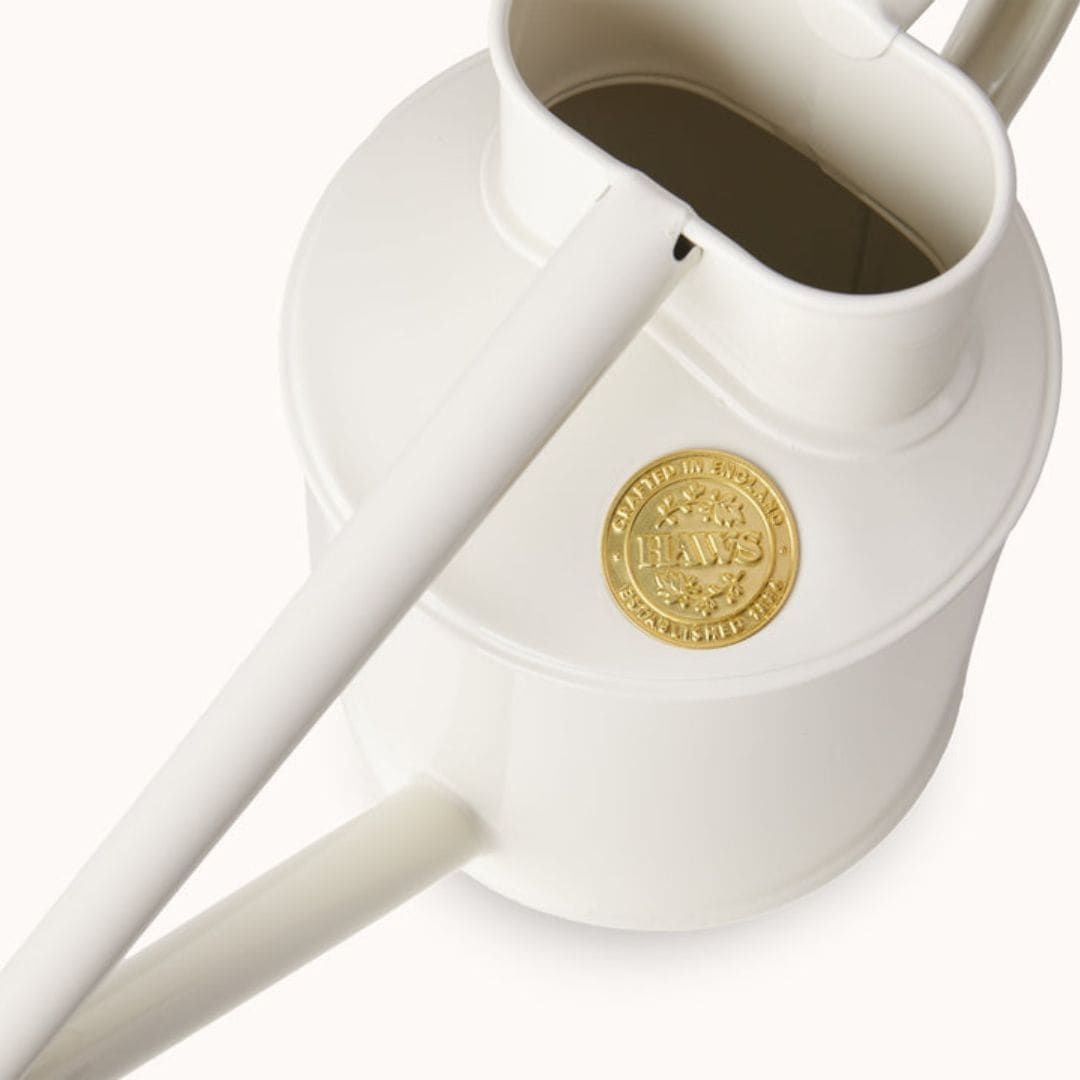 HAWS°礦1Lۥ磻ȥʥ